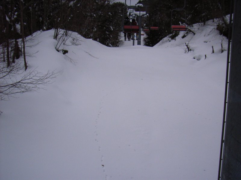 RIMG0267.JPG - Unicode