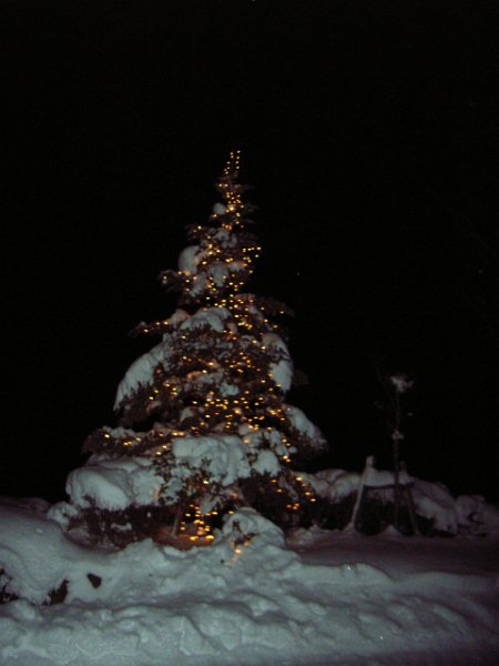 RIMG0305.JPG - Unicode