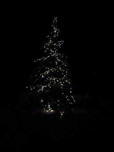 RIMG0306.JPG - Unicode