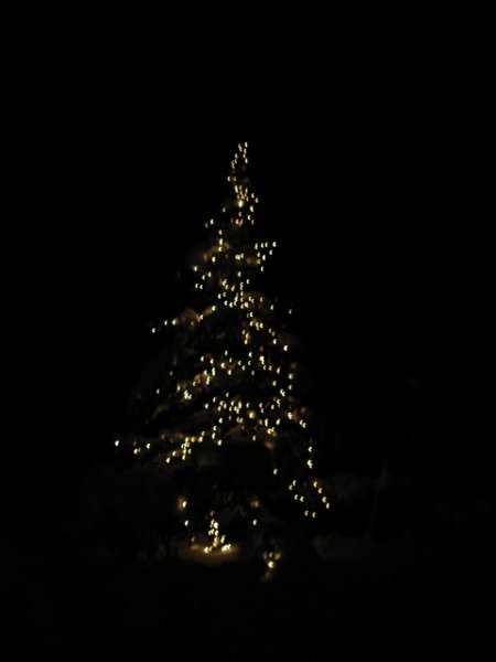 RIMG0307.JPG - Unicode